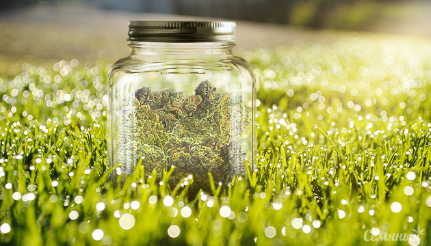 Марихуана в стеклянной банке