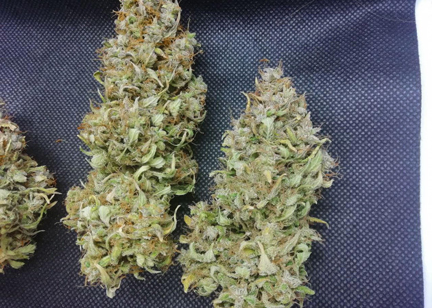 Готовый продукт Сухие шишки