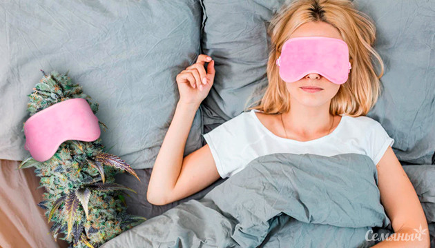 Всемирный день сна с Семянычем Всемирный день сна на Семяныче