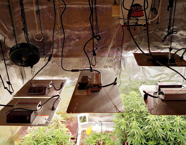 Оборудование для выращивания марихуаны Оборудование