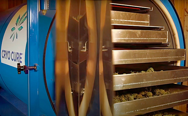 Точные настройки Cryo Cure Замораживание и сушка Cryo Cure