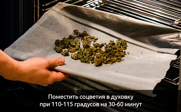 Подготовка конопли для печенек