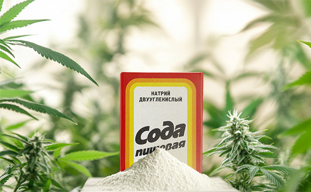 Пищевая сода против запахов Как использовать пищевую соду?