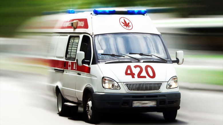 Подборка сортов конопли с высоким содержанием КБД Медицинские сорта марихуаны