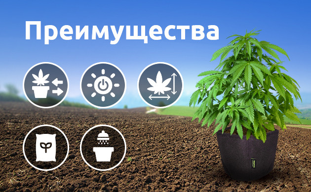 Преимущества выращивания в аутдоре в горшке Плюсы выращивания в аутдоре в горшке