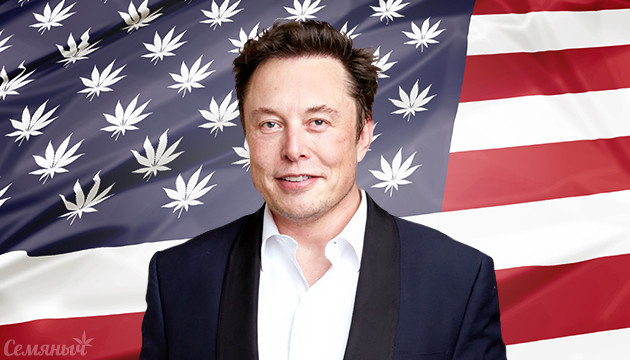 Илон Маск поддерживает легализацию Илон Маск