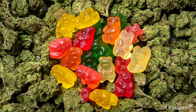 Мармеладные мишки с ТГК Шишки конопли и мармеладные мишки