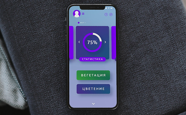 Вегетативный и генеративный рост конопли Вегетативный и генеративный рост конопли