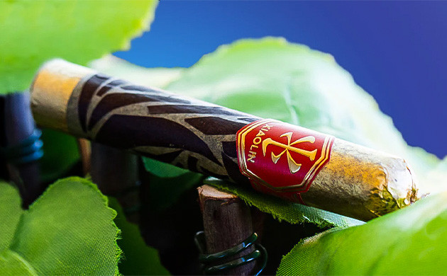 Что такое Свишер Блант Что такое каннагары Свишер Блант