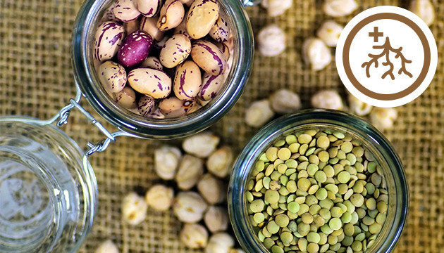 Стимулятор роста корней Чечевица и фасоль