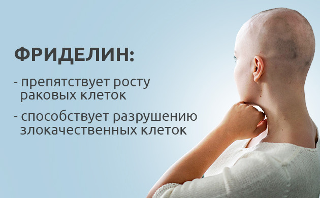 Свойства фриделина при раке
