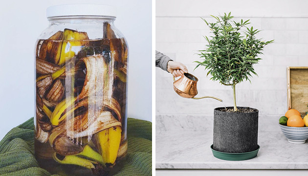 Рецепт бананового чая Приготовление бананового чая