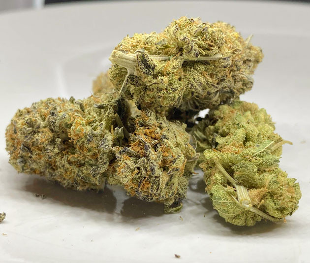 Созревшие шишки конопли