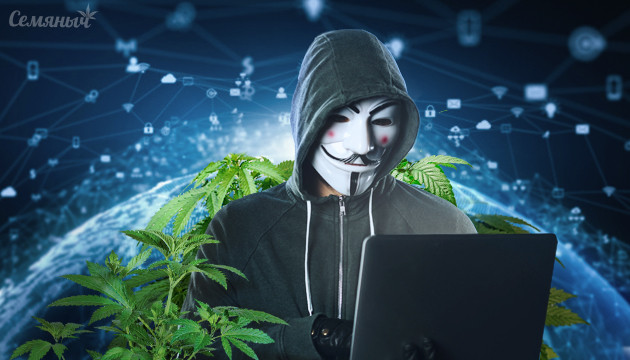 Анонимная покупка семян конопли