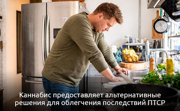 Заключение