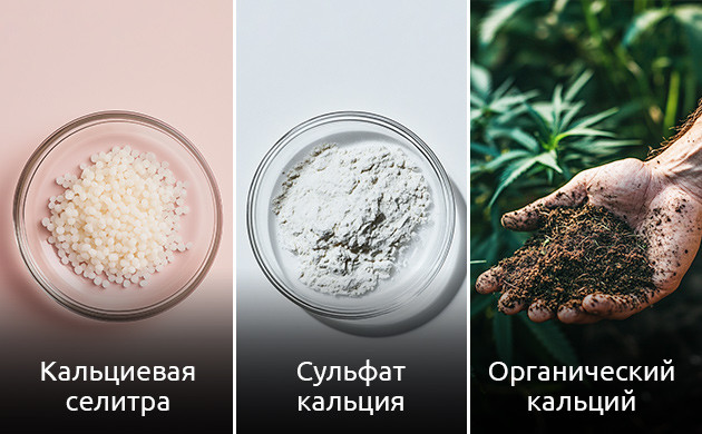 Виды кальциевых удобрений