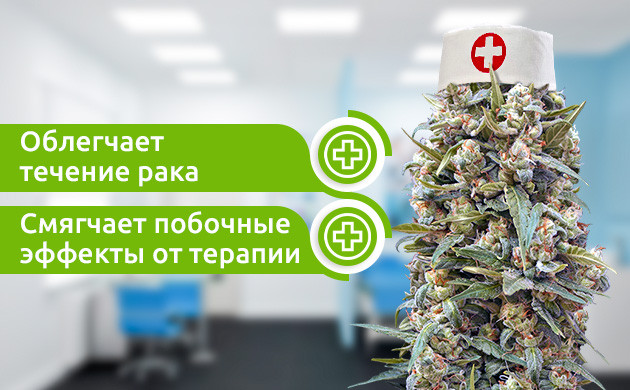 Медицинский потенциал марихуаны