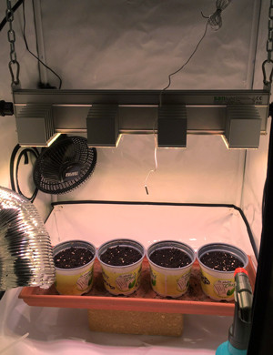 Гроубокс для выращивания