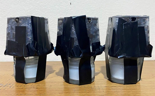 Пересадка ростков Golosa от Delicious Seeds выращивание конопли с колхицином