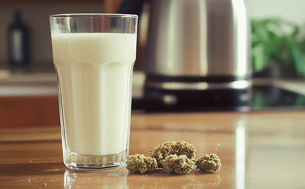 Приготовление молока с каннабисом
