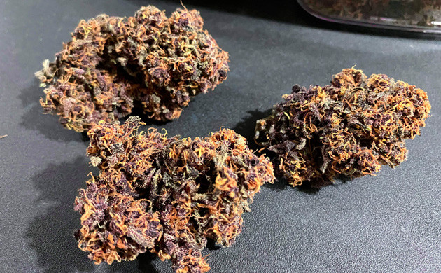 Готовый урожай Сухие шишки