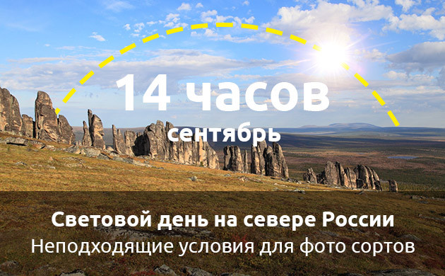 Сокращение светового дня на севере России Переход в фазу цветения на севере России в сентябре