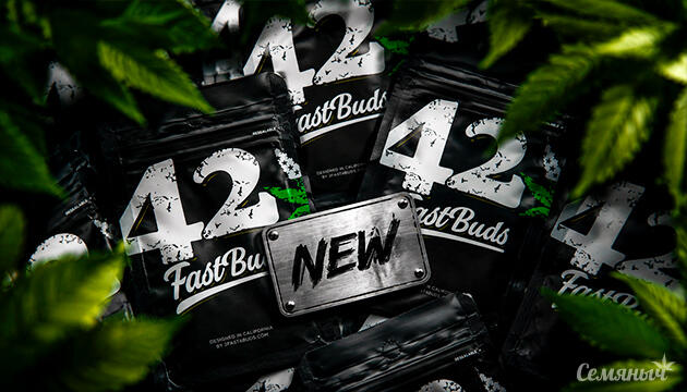 Новинки от сидбанка FastBuds