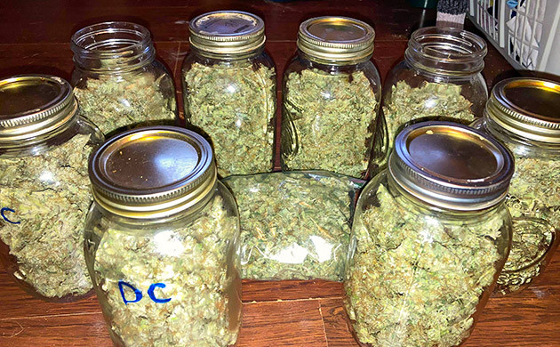 Полученный урожай