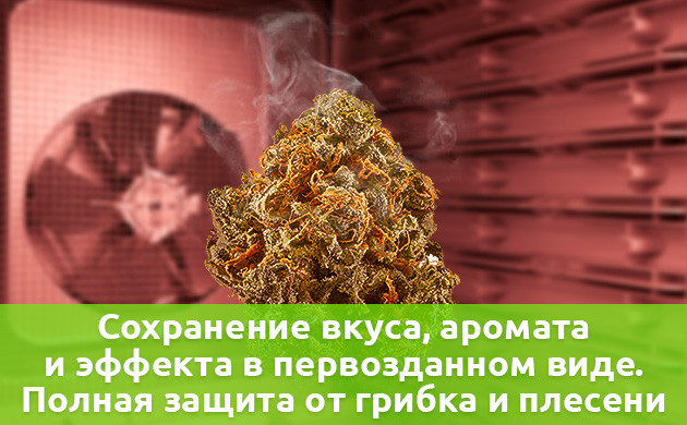 Достоинства сублимационной cушки Сохранение вкуса и аромата, защита от плесени