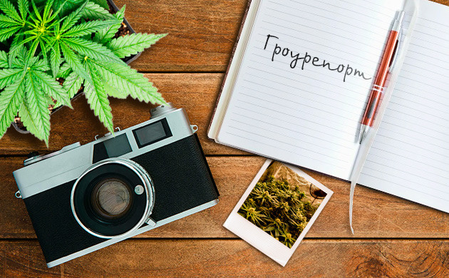 Гроурепорты на форуме Дзаги Гроурепорты на Дзаги