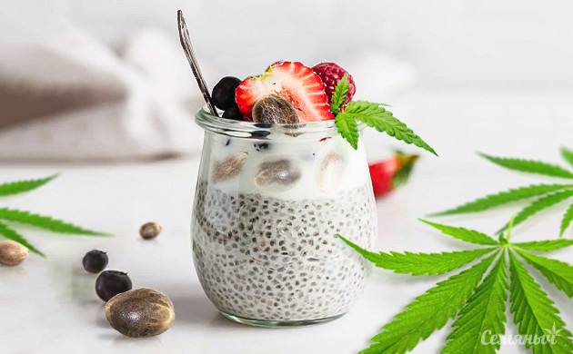 Чиа-пудинг с конопляным смузи Пудинг с конопляным смузи и семенами чиа