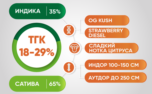 Особенности генетики Характеристики генетики Bruce Banner