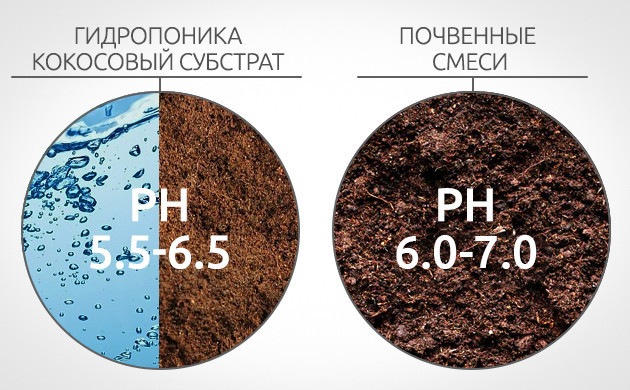 Почему возникает нехватка молибдена у конопли Причины нехватки молибдена у конопли