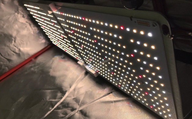 Освещение конопли