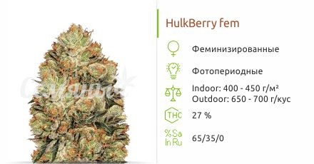 HulkBerry от Royal Queen Seeds