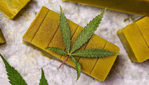 Приготовление канна-масла Масло из конопли