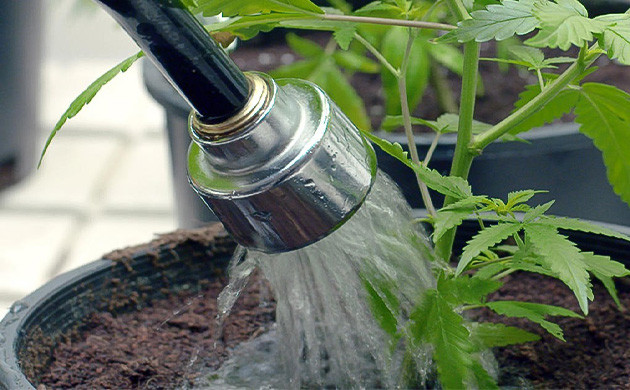 Вода для живой почвы Вода в живой почве