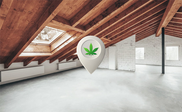 Выращивания конопли на чердаке Выращивание каннабиса на чердаке