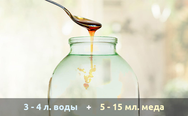 Использование меда в качестве удобрения Рецепт подкормки из меда