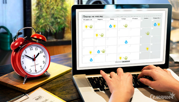 Понедельный уход за автоцветами