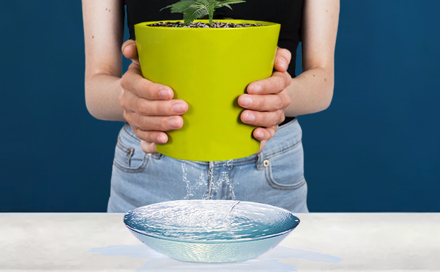 Слив излишков воды после полива Слив лишней воды в отдельное блюдце