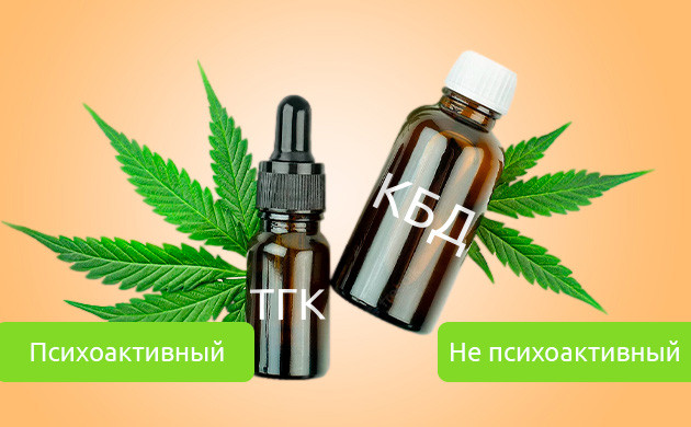 Различие эффектов ТГК и КБД Психоактивный ТГК и не психоактивный КБД