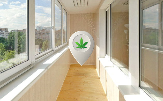 Выращивание марихуаны на балконе Выращивание конопли на балконе