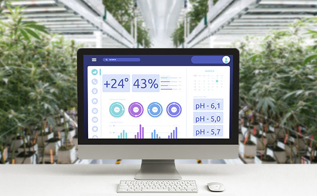 механизмы управления ростом конопли факторы управления ростом каннабиса