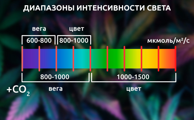 Измерение освещения для конопли