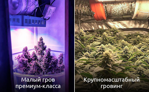 Экономичные гранулированные фильтры Преимущества блочных фильтров: сильная фильтрация для гроубоксов