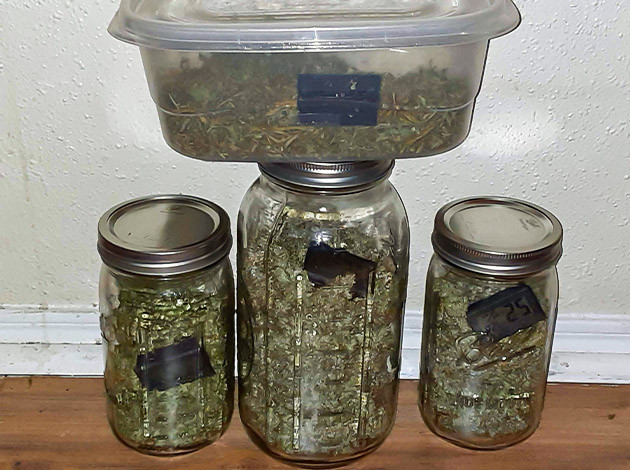 Собранный урожай Original Auto Chemdawg Сухой урожай конопли