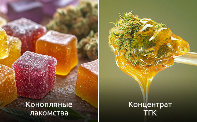 Долговечность концентратов против скоропортящейся канна-еды Стабильность концентратов каннабиса: секреты эффективного хранения