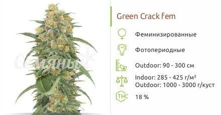 Green Crack fem (Humboldt Seeds)