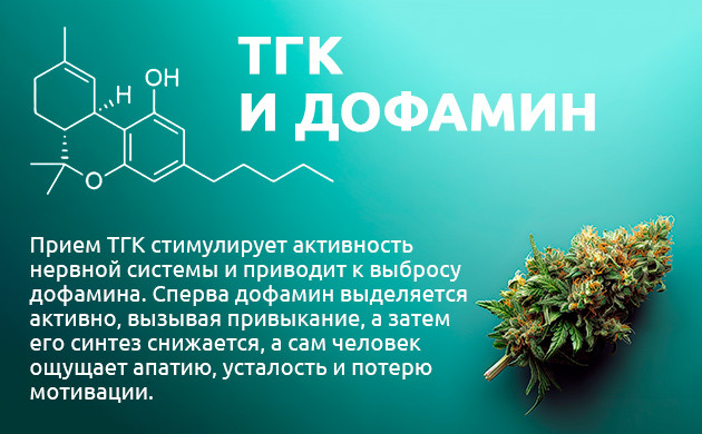 Влияние ТГК на уровень дофамина